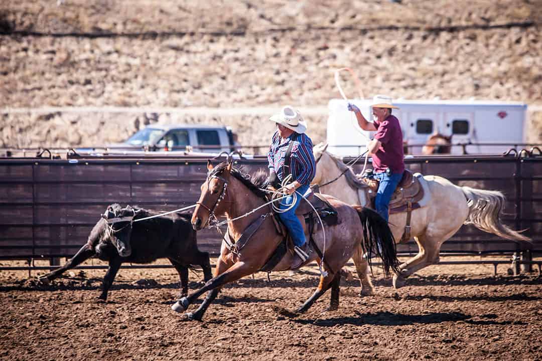 Wickenburg AZ